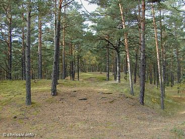 Lettland - Latvia: W&auml;lder / forests