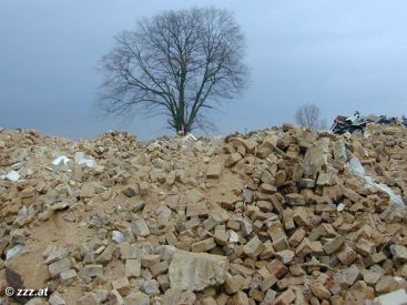 alle B�ume und Pflanzen der Gegend: geschreddert und zu hunderten von Scheiterhaufen aufget�rmt (anklicken zum Vergr&ouml;�ern)