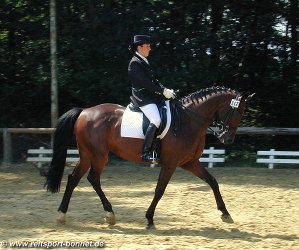Reiten: Reitturnier (anklicken zum Vergr��ern - click to enlarge)