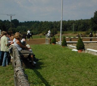 Reiten + Pferde: Reitturnier (anklicken zum Vergr��ern - click to enlarge)