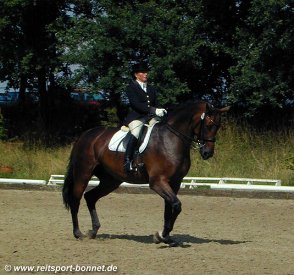 Reiten + Pferde: Reitturnier (anklicken zum Vergr��ern - click to enlarge)