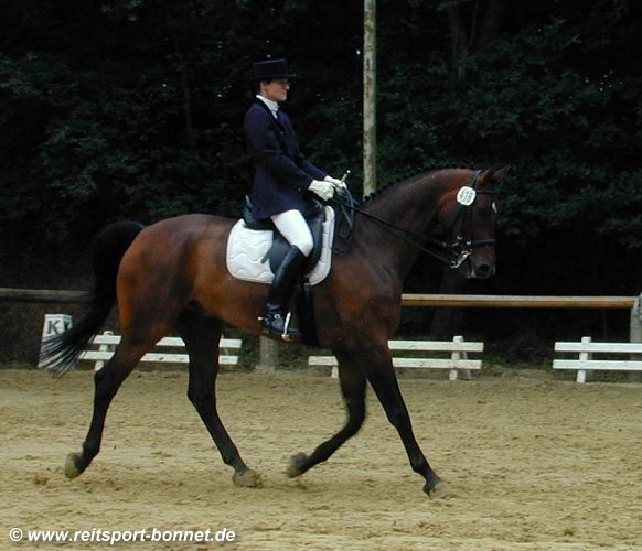 Reiten: Reitturnier (anklicken zum Vergr��ern - click to enlarge)