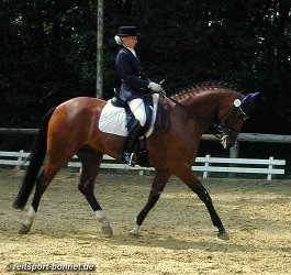 Reiten: Reitturnier (anklicken zum Vergr��ern - click to enlarge)