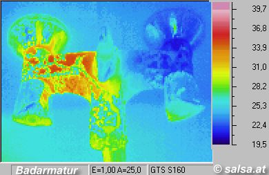 Infrarotbild / W&auml;rmebild / Thermografie